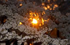 Может быть зима на крыше