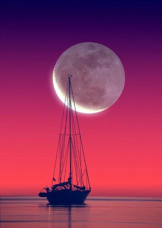 Робинзонада III