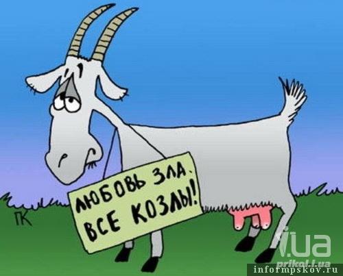 Полюбила я козла