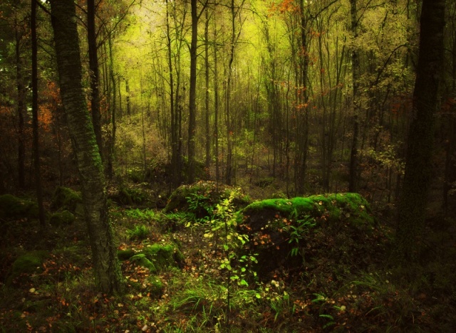 Логово ведьм