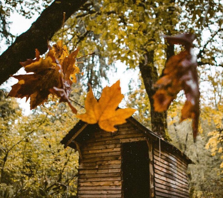 Раньше осени были краше!..