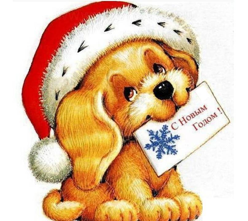 Рыжий Пёс, или С Новым Годом!
