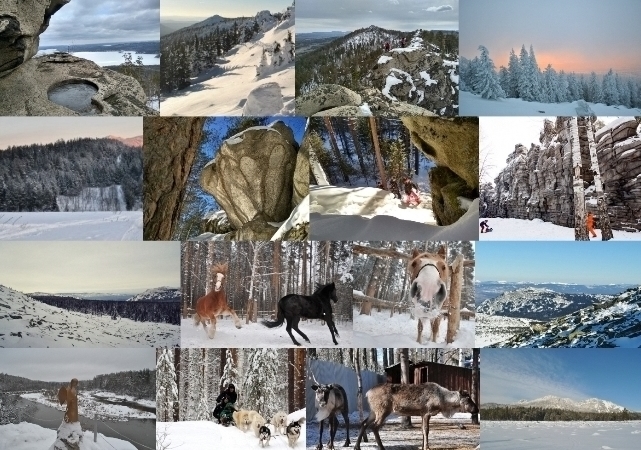 Январь начался - все в тайгу!