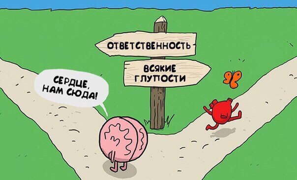 Ум и чувства