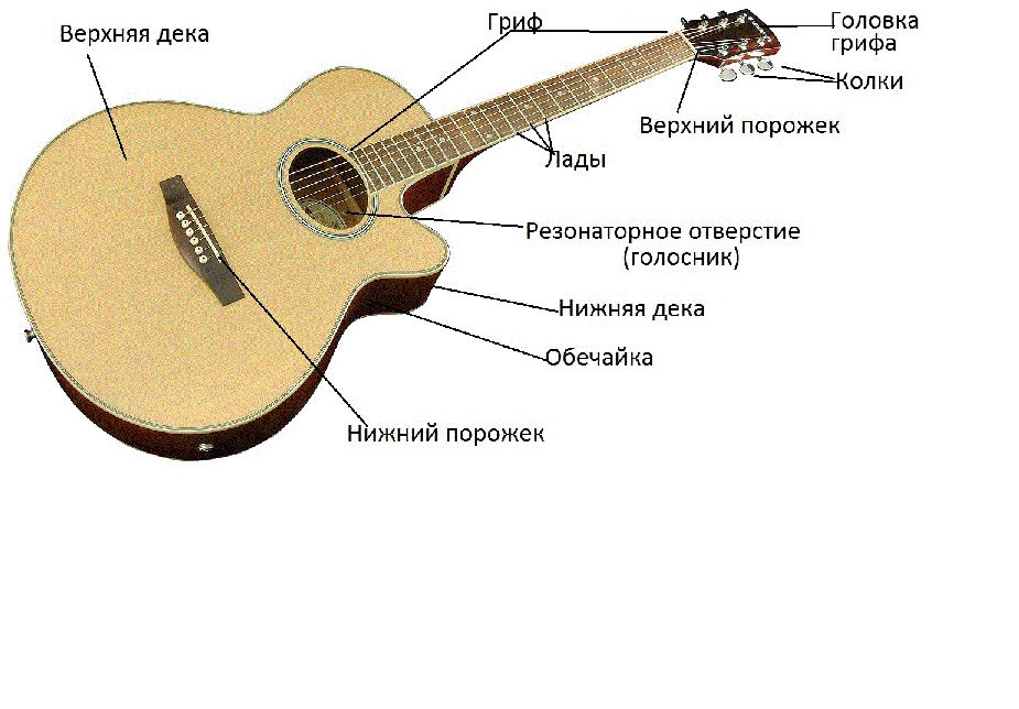 Строение акустической гитары схема. Дека нандролон деканоат. Структура грифа гитары. Схема гитары классической 6 струнной. Строение акустической гитары схема.
