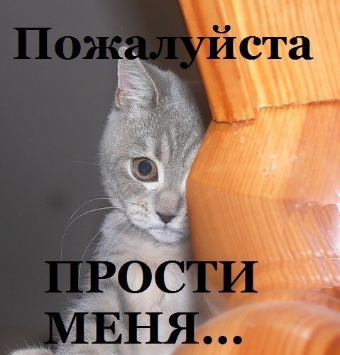 Прости, любимая...