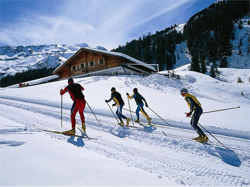 Новая жизнь