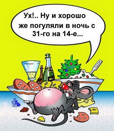 Новый год - отличный праздник!