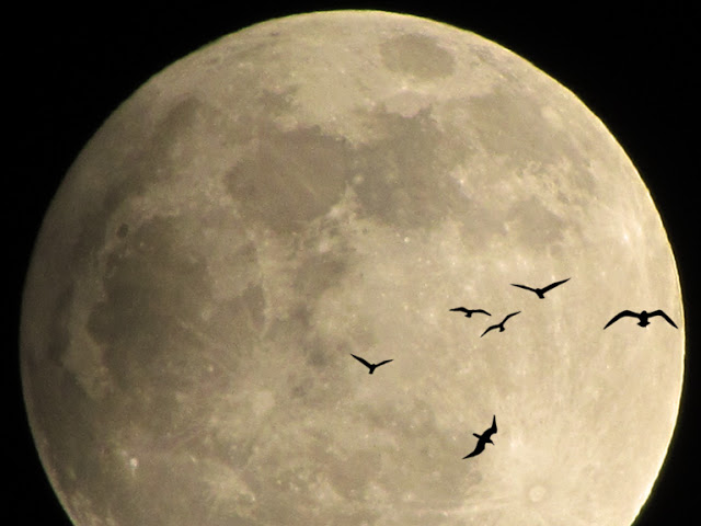 Струишься где-то там...