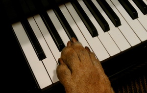 Мне тяжело давался вальс