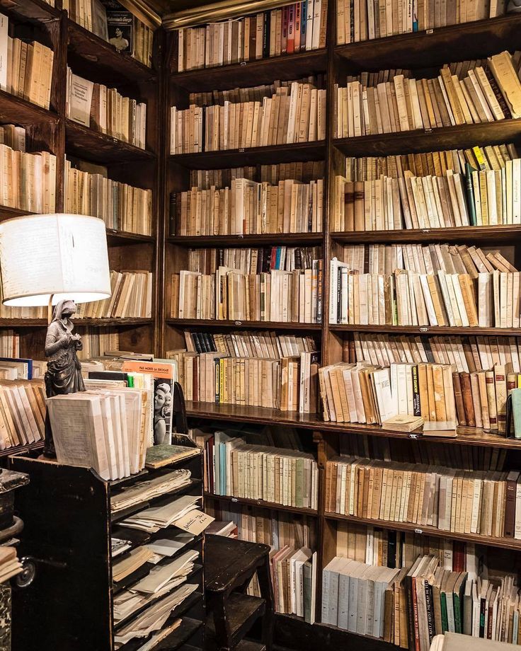 В библиотеке Светоч