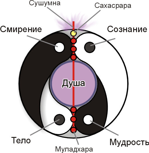 Кручу-верчу