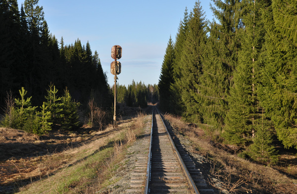 Узкоколейка Алапаевской Тиши
