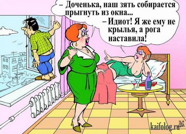 Анекдоты дня