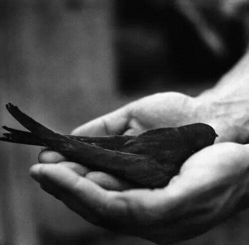 Расплескалась