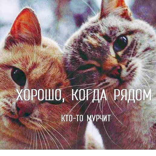 ну как ты там текст. песня ну как ты живешь справляешься. текст песни как ты там. цитаты всем привет. как ты там песня текст.