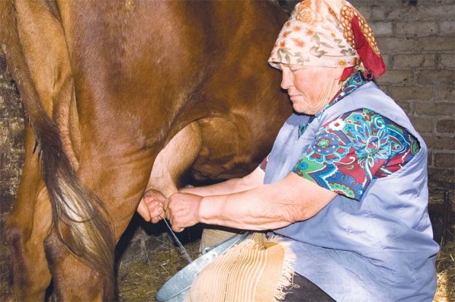 Все то, что сердцу близкое, родное