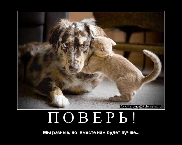 Правило 4