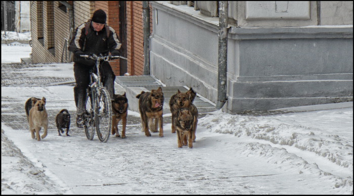 Доброе утро!