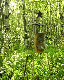 Моя вечная звезда