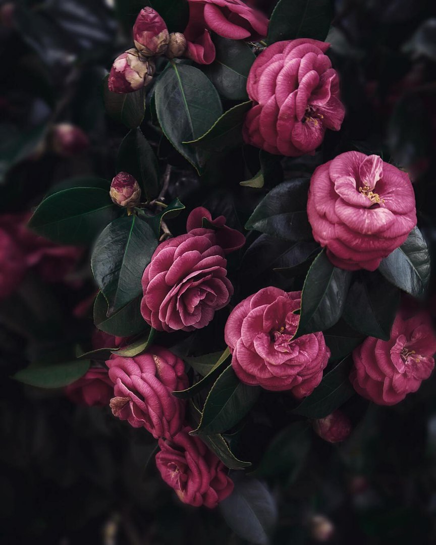 Я касаюсь губами твоей души