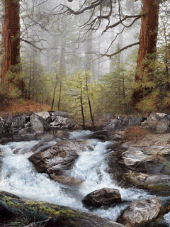 Вся наша жизнь огромная река