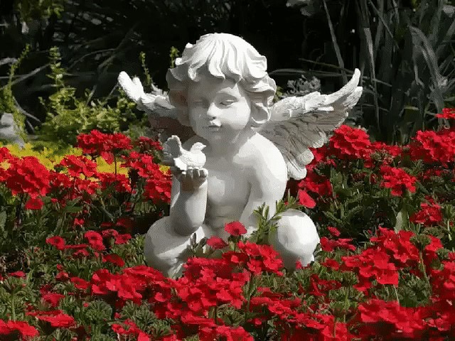 Я иду на Землю!