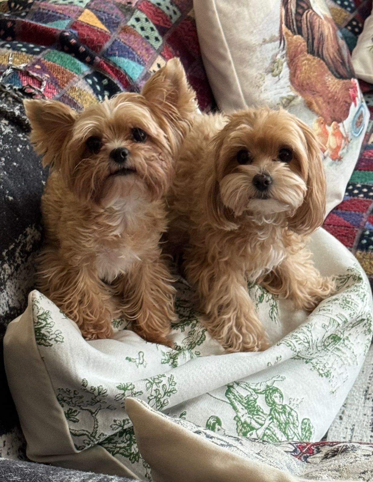 нет она была лучше