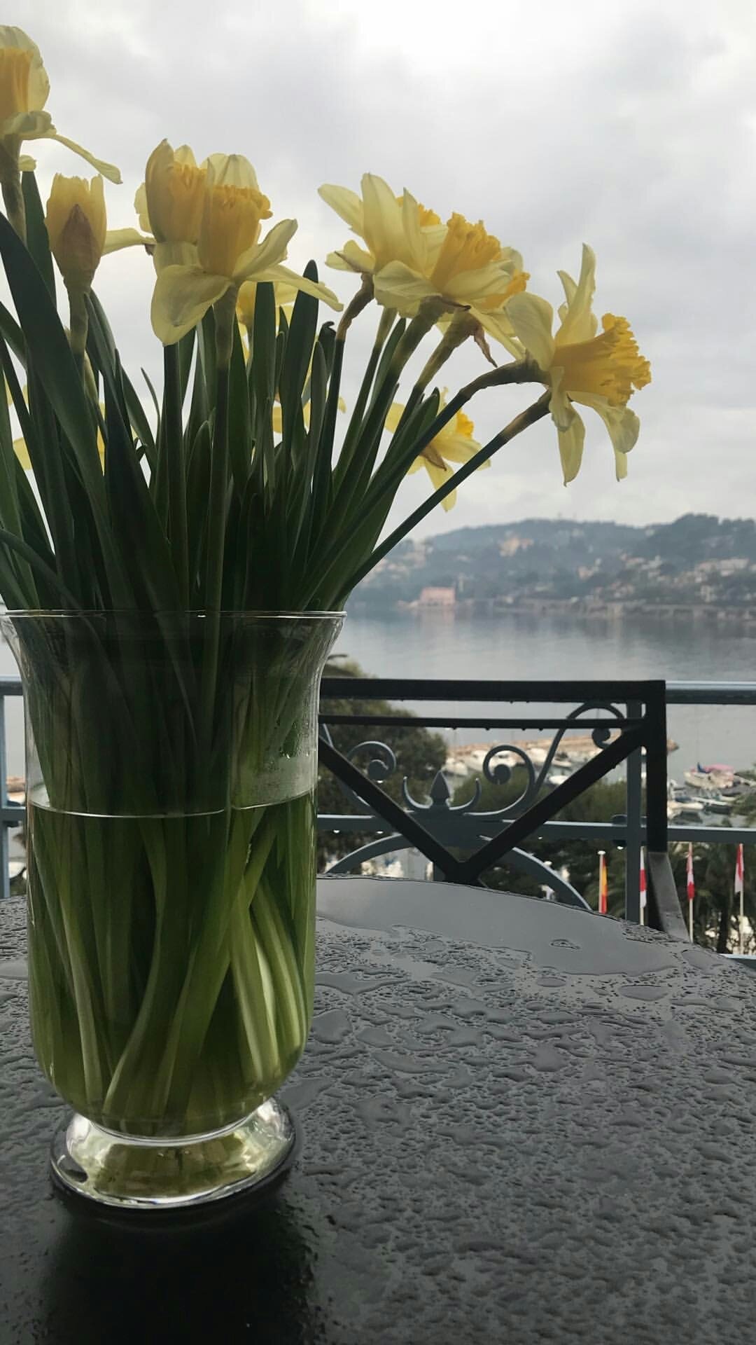 В Ницце на окне стоят нарциссы