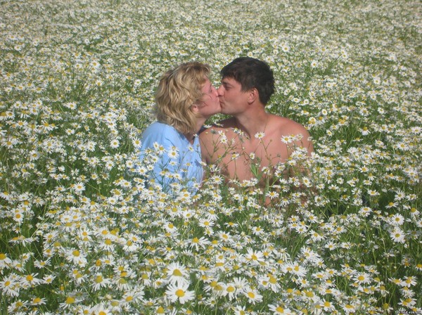 Цветы полевые