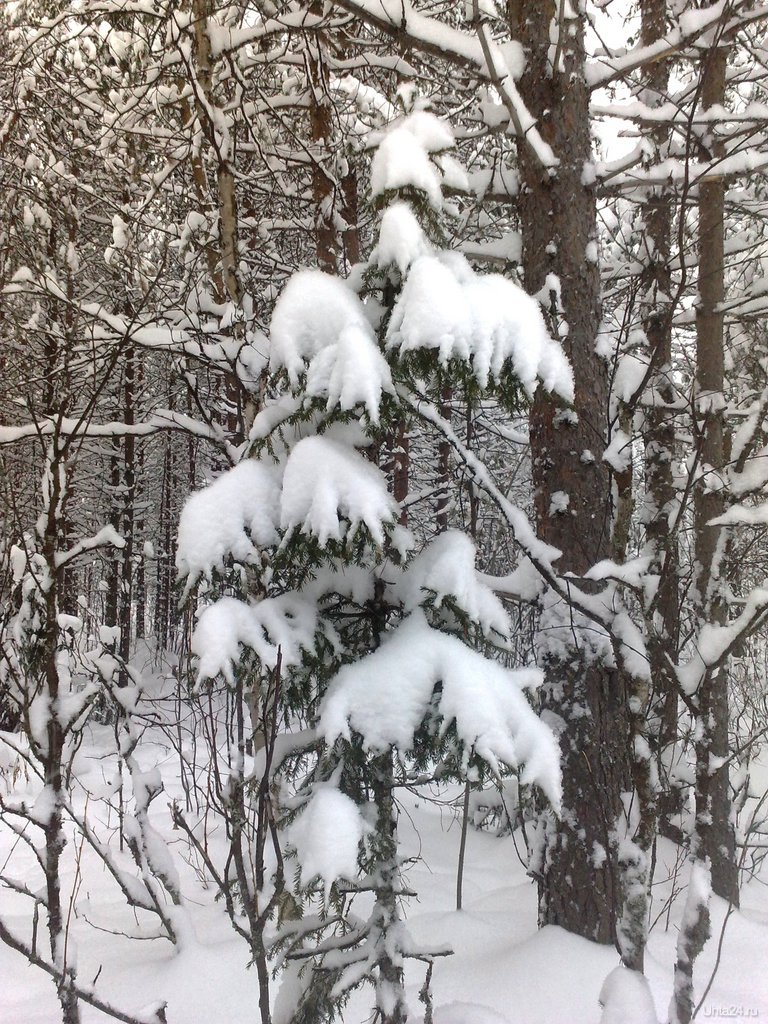 Дни считать свои не буду