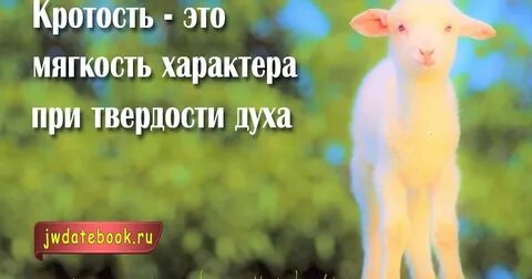Кротость