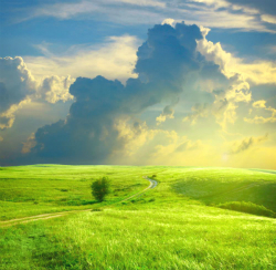 Просто лето