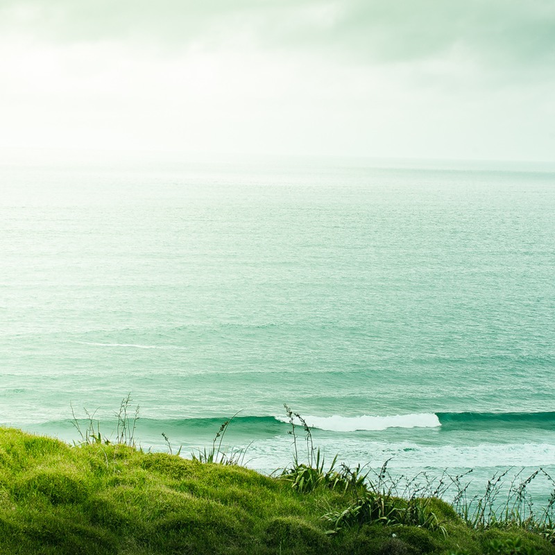 Каким дыханьем занесло в меня привет