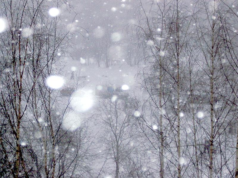 Большие хлопья снега жди. Снег метет. Весенняя метель. Вьюга весной. Снежная буря весной.
