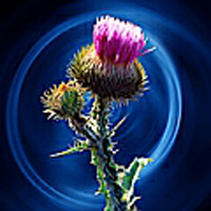 Шуточно-лирическое