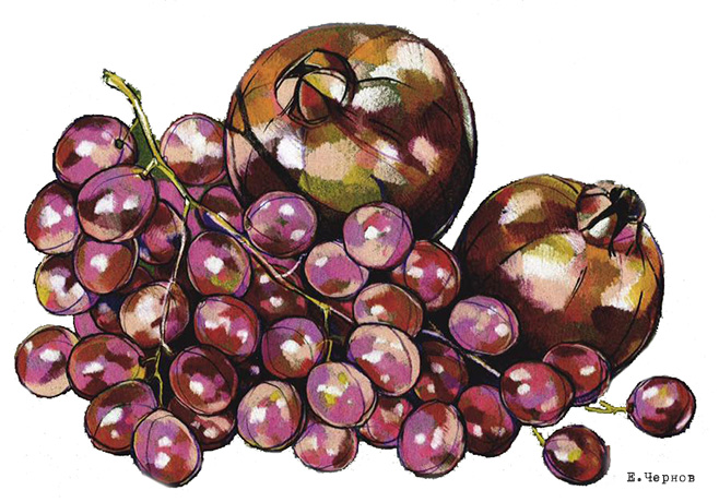 Художник должен быть голодным