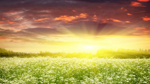 34 Восходящего солнца лучи