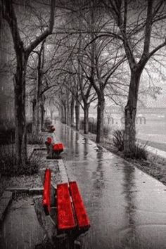 Осенний роман