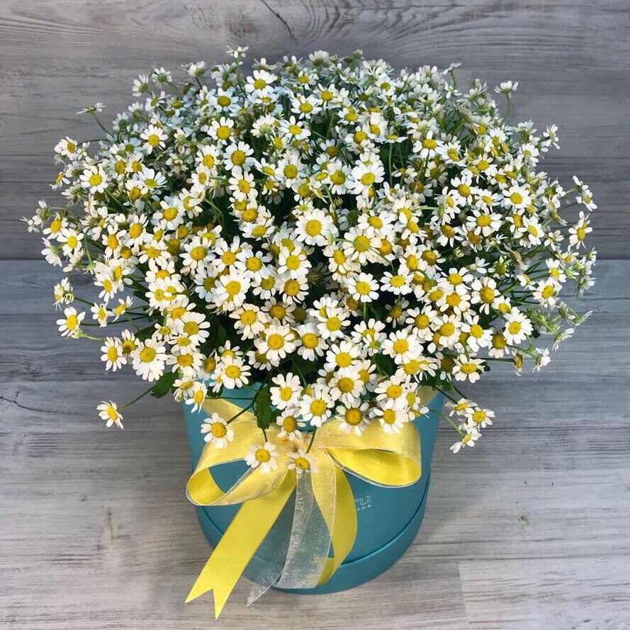 Купить Ромашки В Уфе Букет