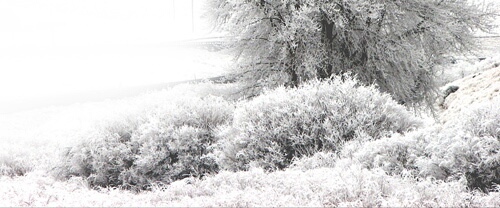 Укрылось всё, под снежным покрывалом...