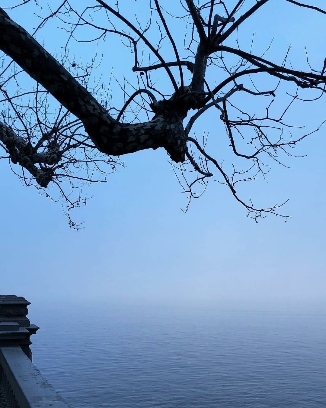 Воспоминания