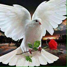 КЕРН А. С. Пушкин