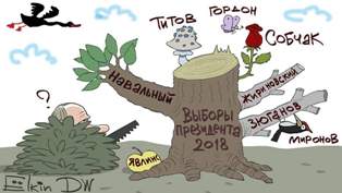 Спецоперация