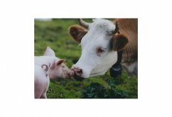 Правда жизни. Басня