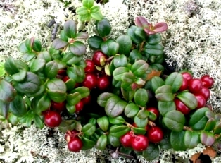 Валентине Артамоновой