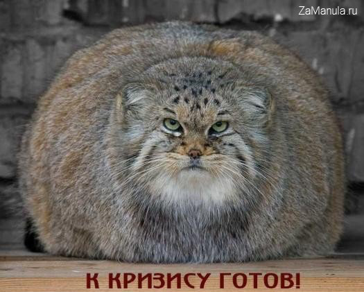 3614 Купальник в стужу