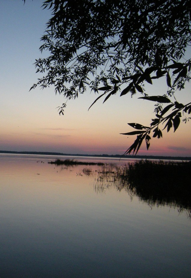 Перед рассветом