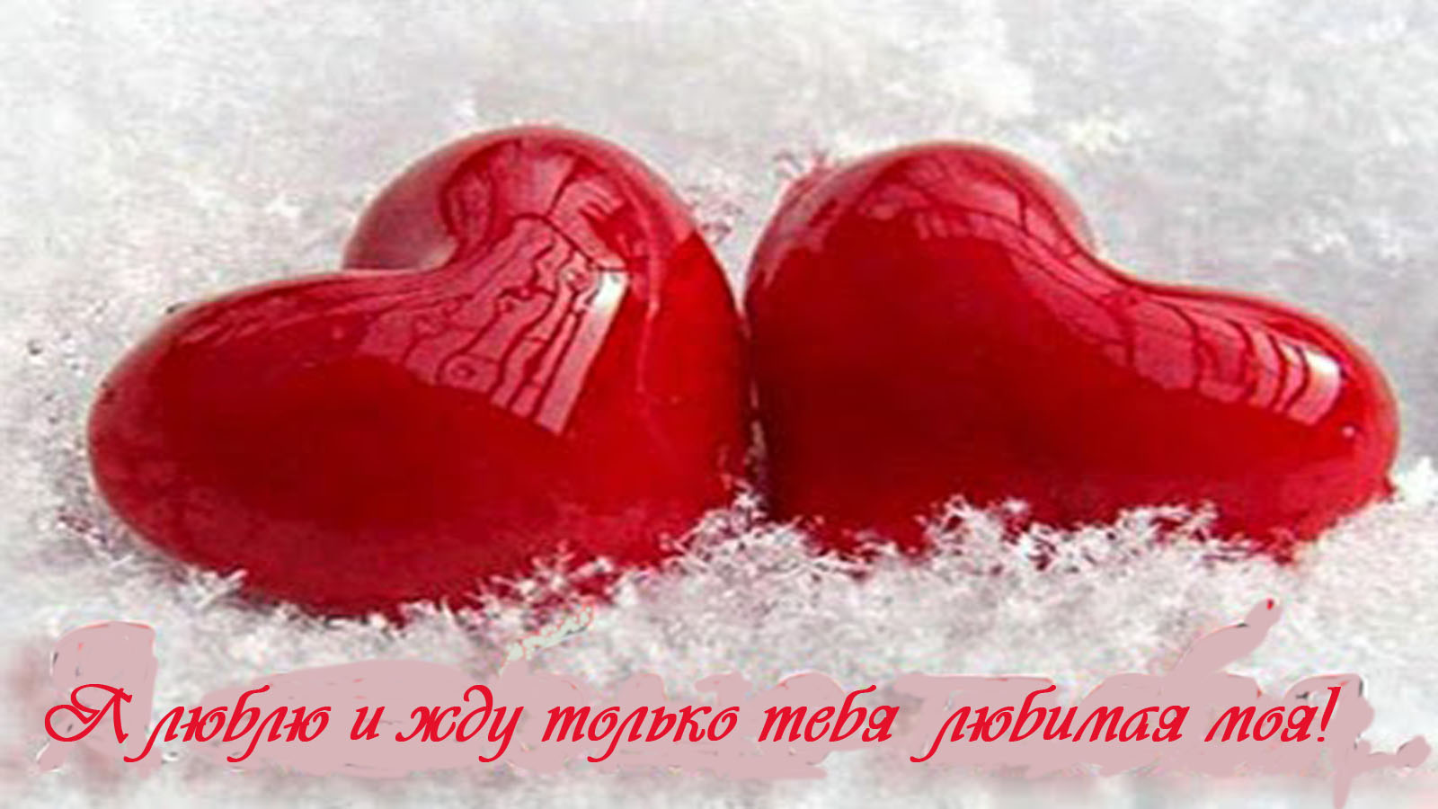 Мечтаю о встрече