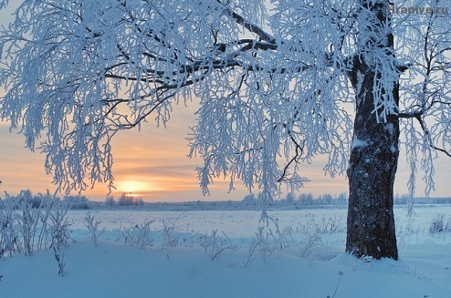 Зимний солнечный изыск